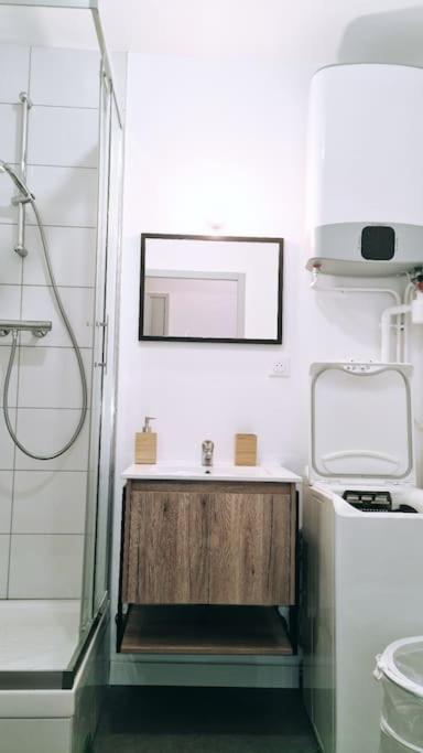 Le Cosy Central Moderne Et Chaleureux Saint-Etienne  Dış mekan fotoğraf
