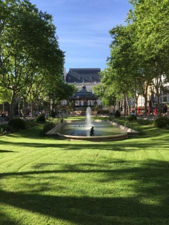 Le Cosy Central Moderne Et Chaleureux Saint-Etienne  Dış mekan fotoğraf